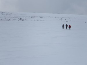 DSCF0882