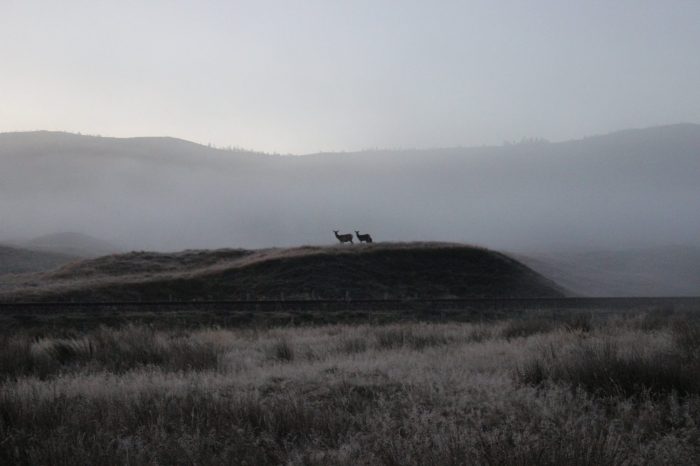 12087697_10156158287470296_8433603741269606921_o