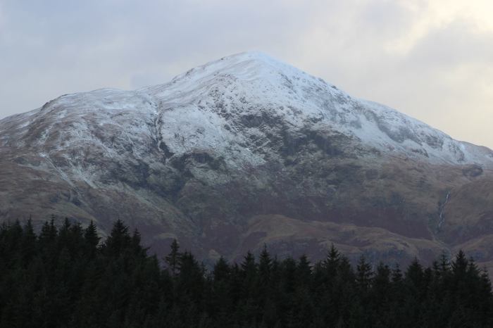 12362765_10156310217175296_6944154864945280155_o (1)