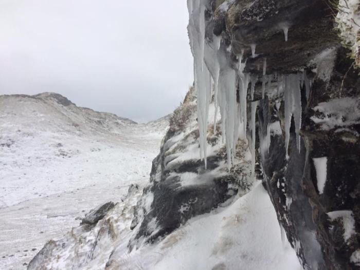 12654104_10208017140980386_8184473253288282039_n