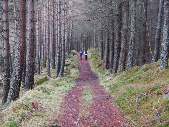 12716371_10156697321785724_3571912745909275136_o