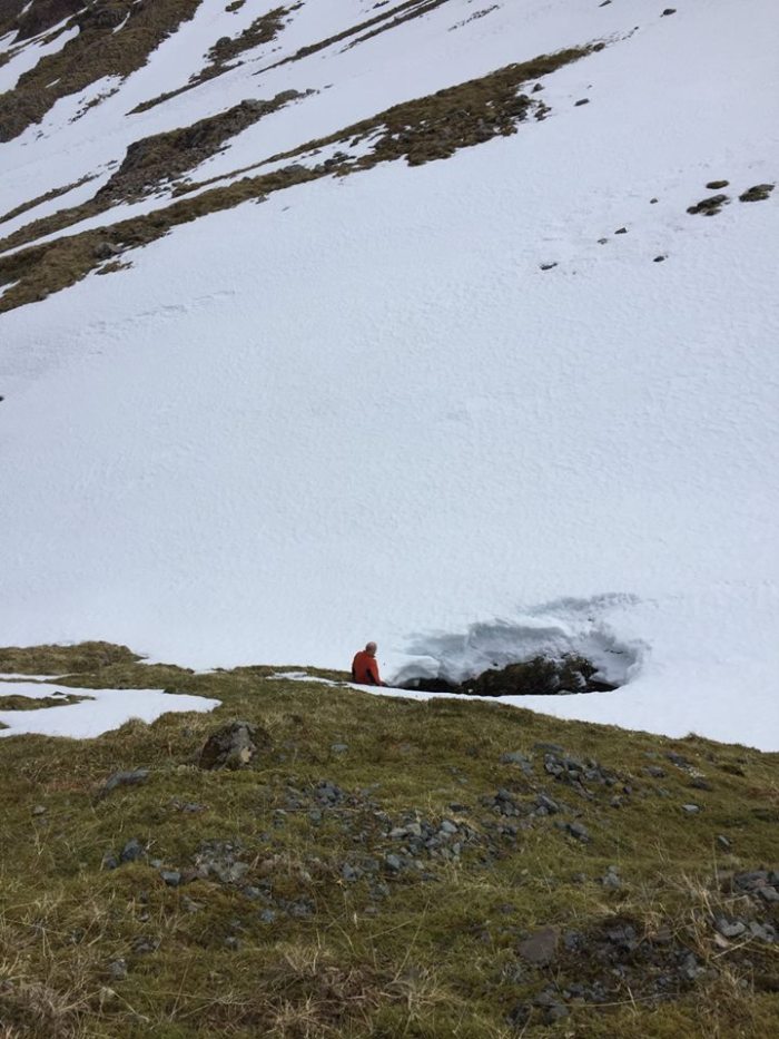 12987107_10154769824860299_8190186023198412816_n