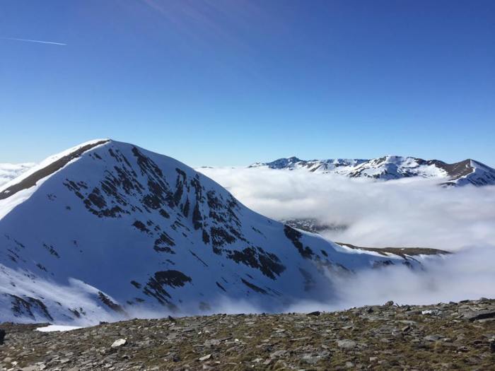 945501_10156686400705296_1913240262519621498_n