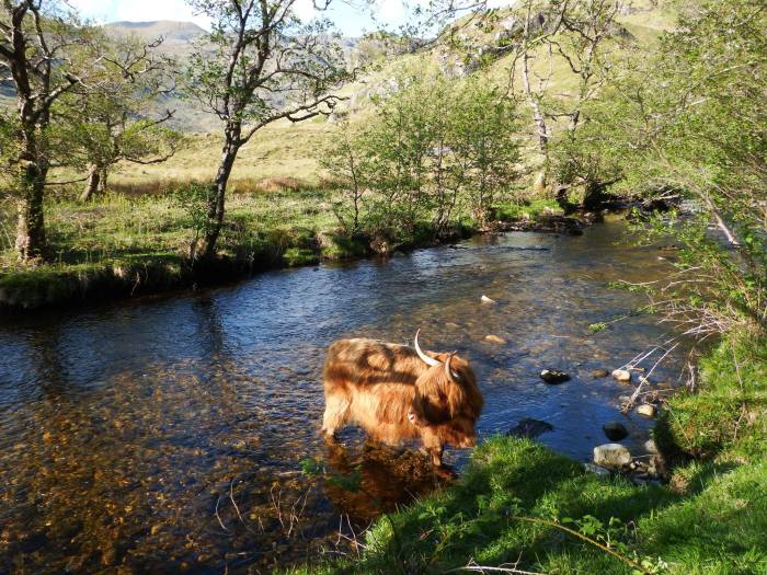 13227515_10157096630915724_5681562110923938797_o