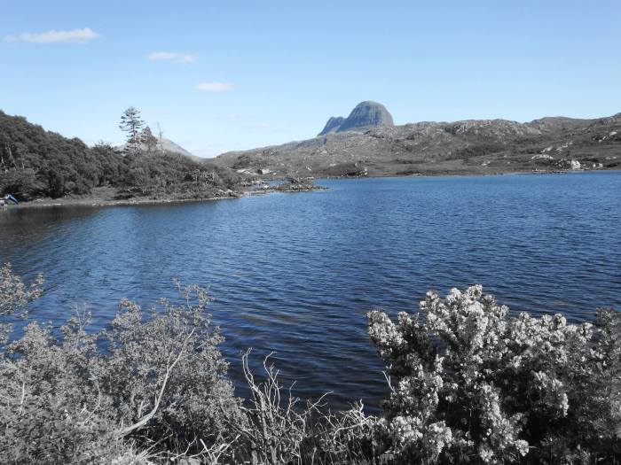 13443292_10157200518800724_4463862377899209411_o