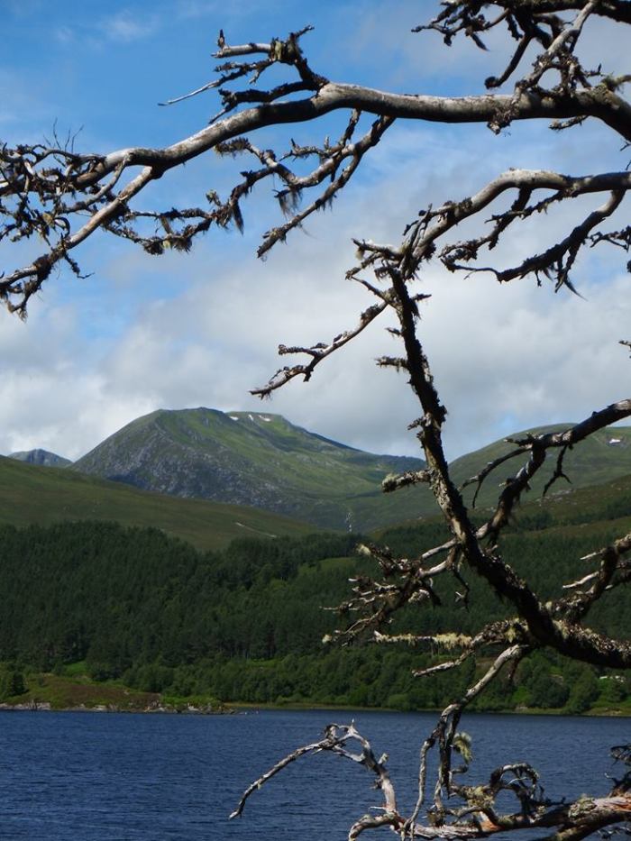 13782055_10157346952755724_2910406909851154345_n