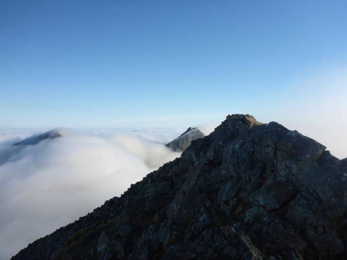 14124318_10209685633291651_4191674380217209757_o