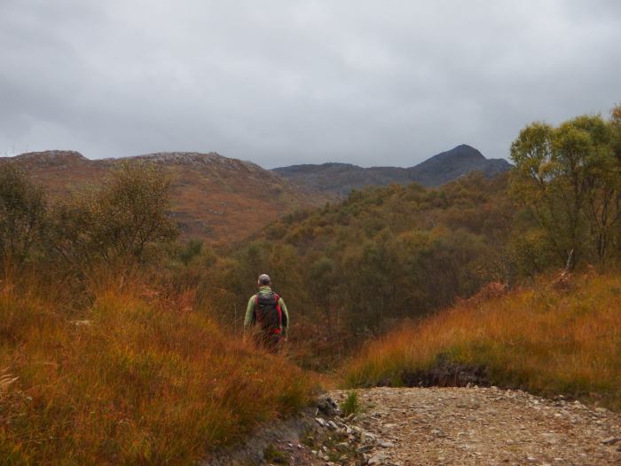 14700830_10157749771870724_2740758194236457944_o