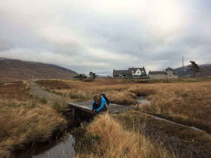 15325248_10155540244765299_3389335963045984724_o